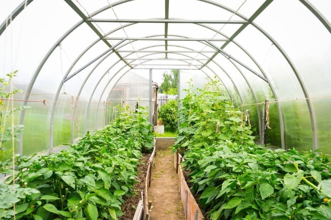 Comment les grands générateurs d'air et d'eau AWG rendent l'agriculture plus résiliente à la sécheresse